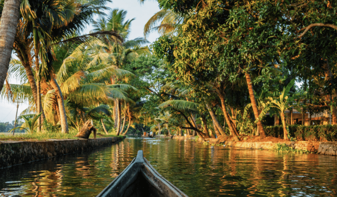 Photographer’s Paradise: Picture-Perfect Spots in Kochi